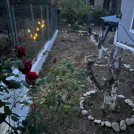 Sandra's House *